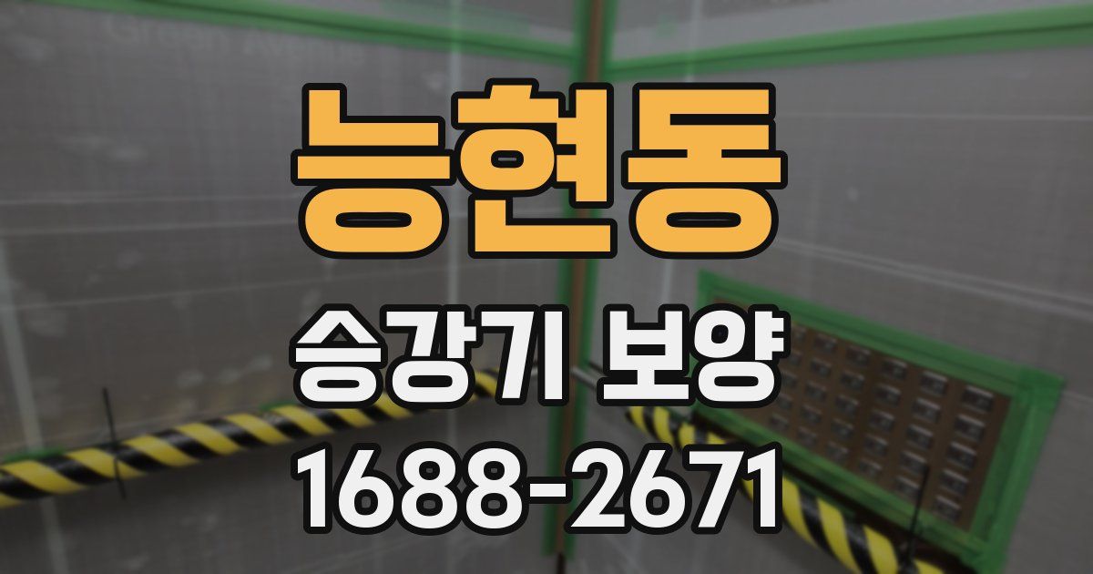 능현동 승강기 보양