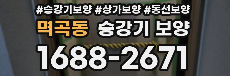 멱곡동 승강기 보양
