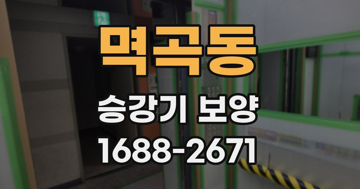 멱곡동 승강기 보양