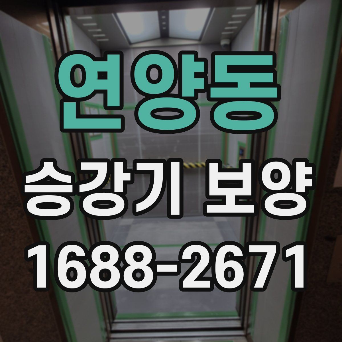 연양동 승강기 보양 관련 견적 확인 포인트