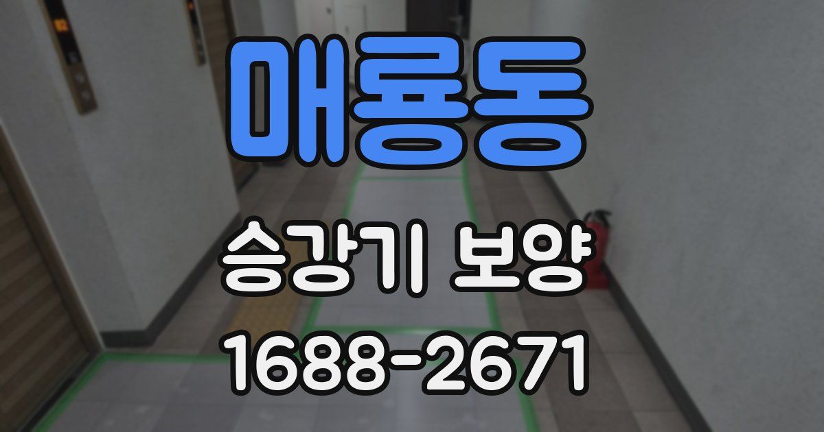 매룡동 승강기 보양