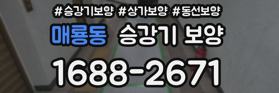 매룡동 승강기 보양
