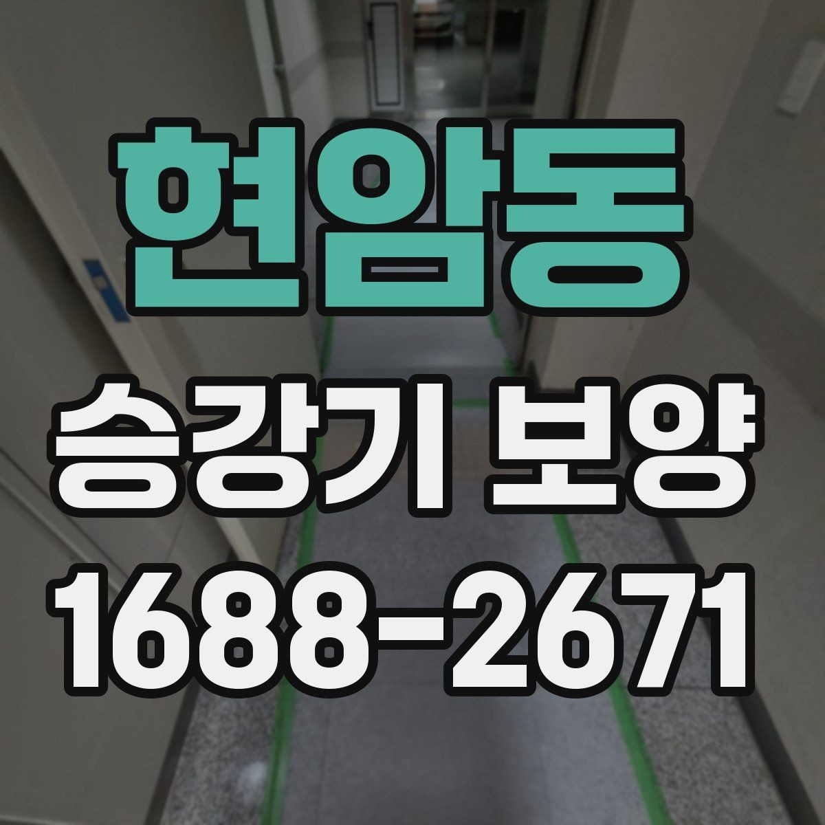 현암동 승강기 보양 검토 시 업체별 차이 비교