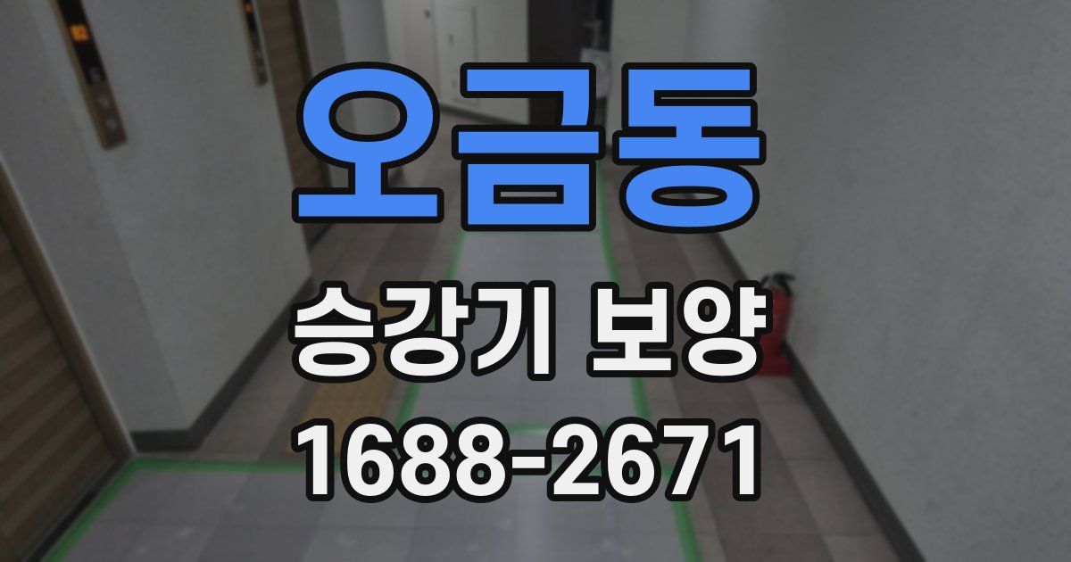 오금동 승강기 보양