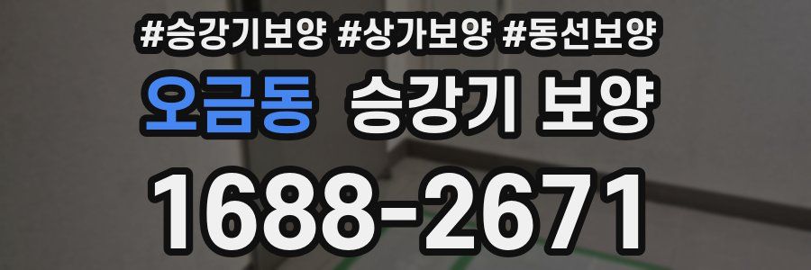 오금동 승강기 보양