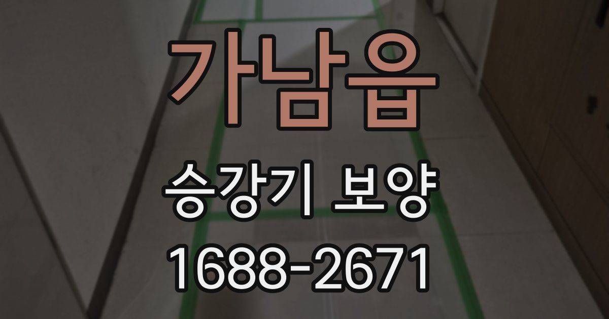 가남읍 승강기 보양