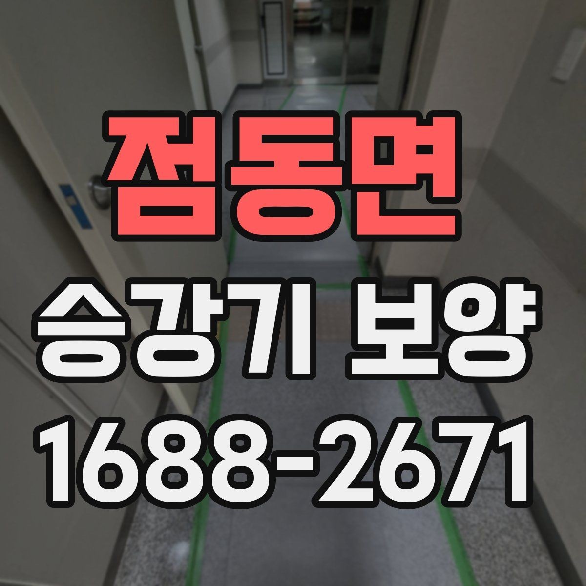 점동면 승강기 보양 검수 기준과 체크 포인트