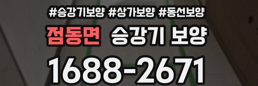 점동면 승강기 보양