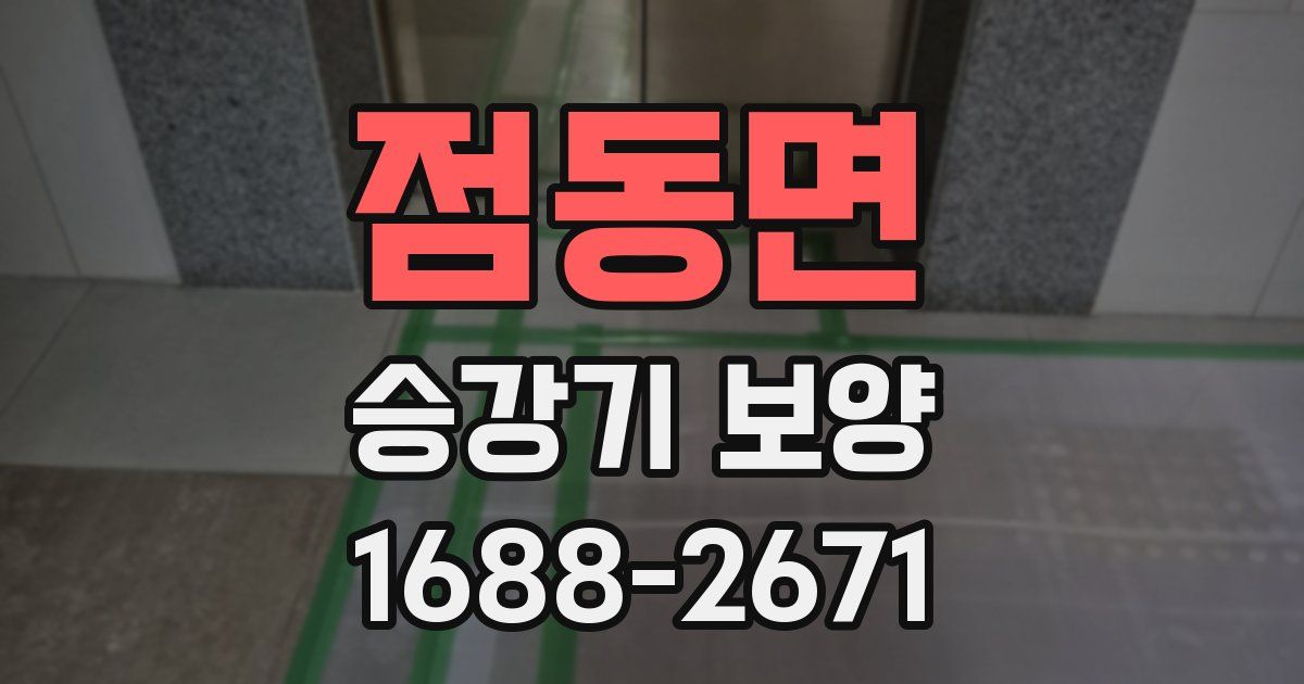 점동면 승강기 보양