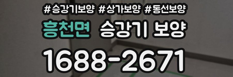 흥천면 승강기 보양