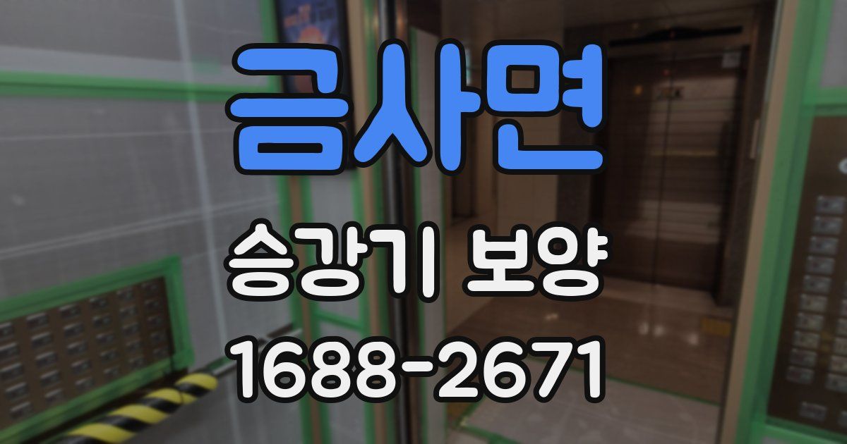 금사면 승강기 보양