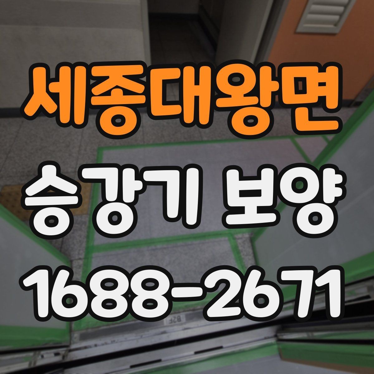 세종대왕면 승강기 보양 현장 맞춤형 진행 방식