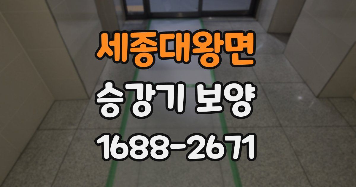 세종대왕면 승강기 보양