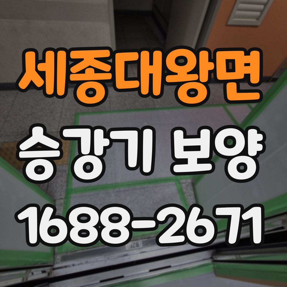 세종대왕면 승강기 보양