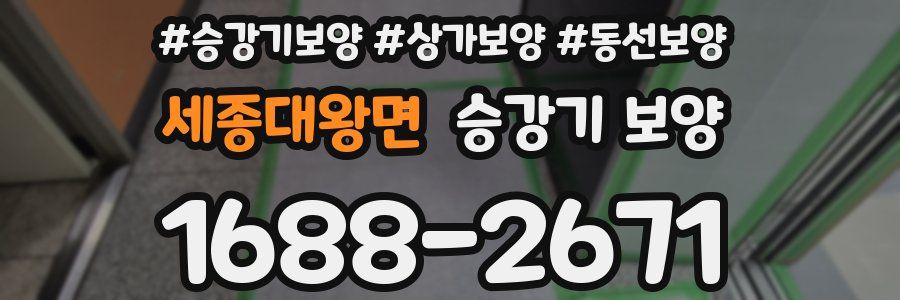 세종대왕면 승강기 보양