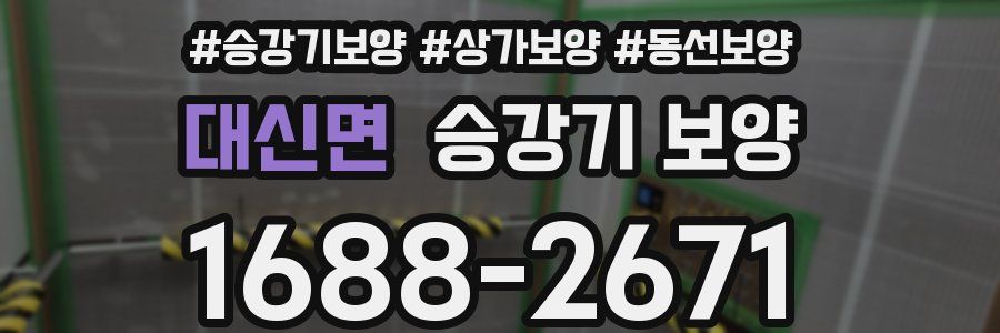 대신면 승강기 보양
