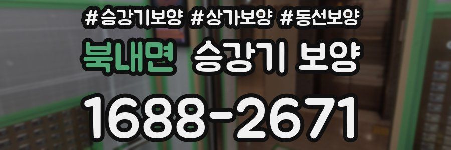 북내면 승강기 보양