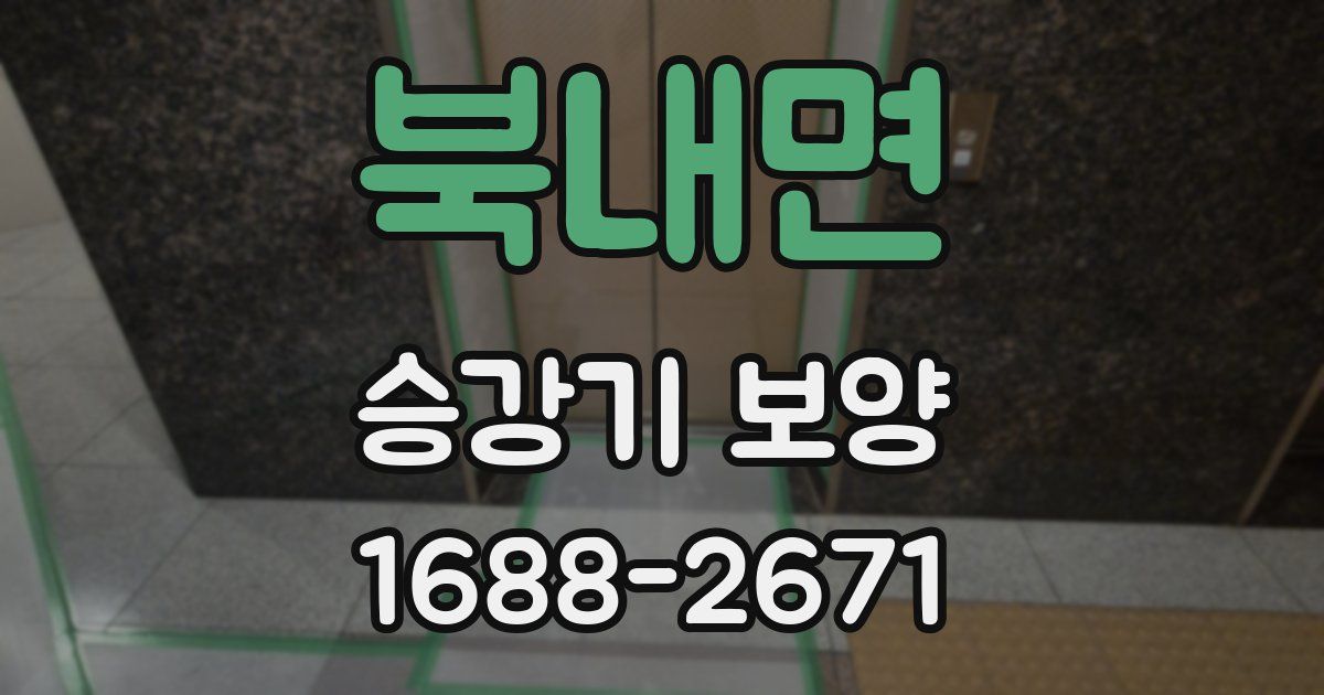 북내면 승강기 보양