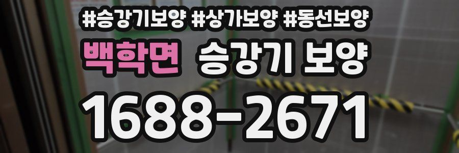 백학면 승강기 보양