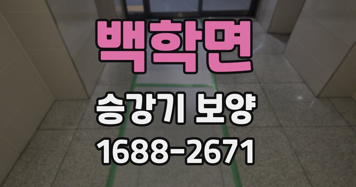 백학면 승강기 보양