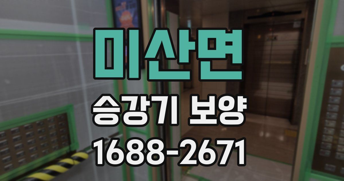 미산면 승강기 보양