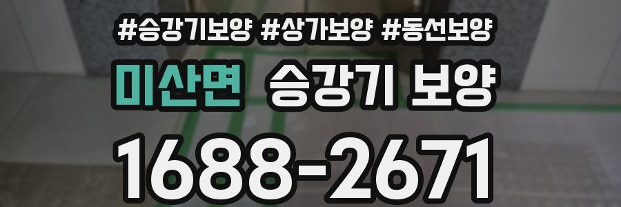 미산면 승강기 보양