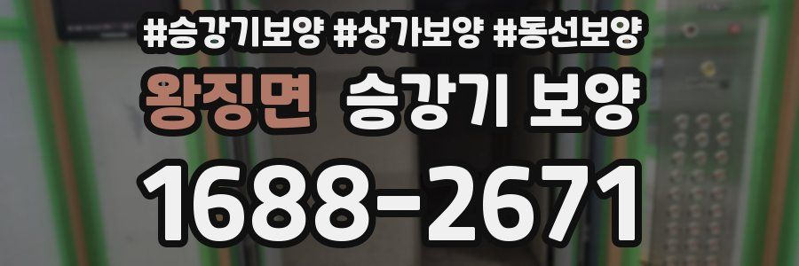 왕징면 승강기 보양