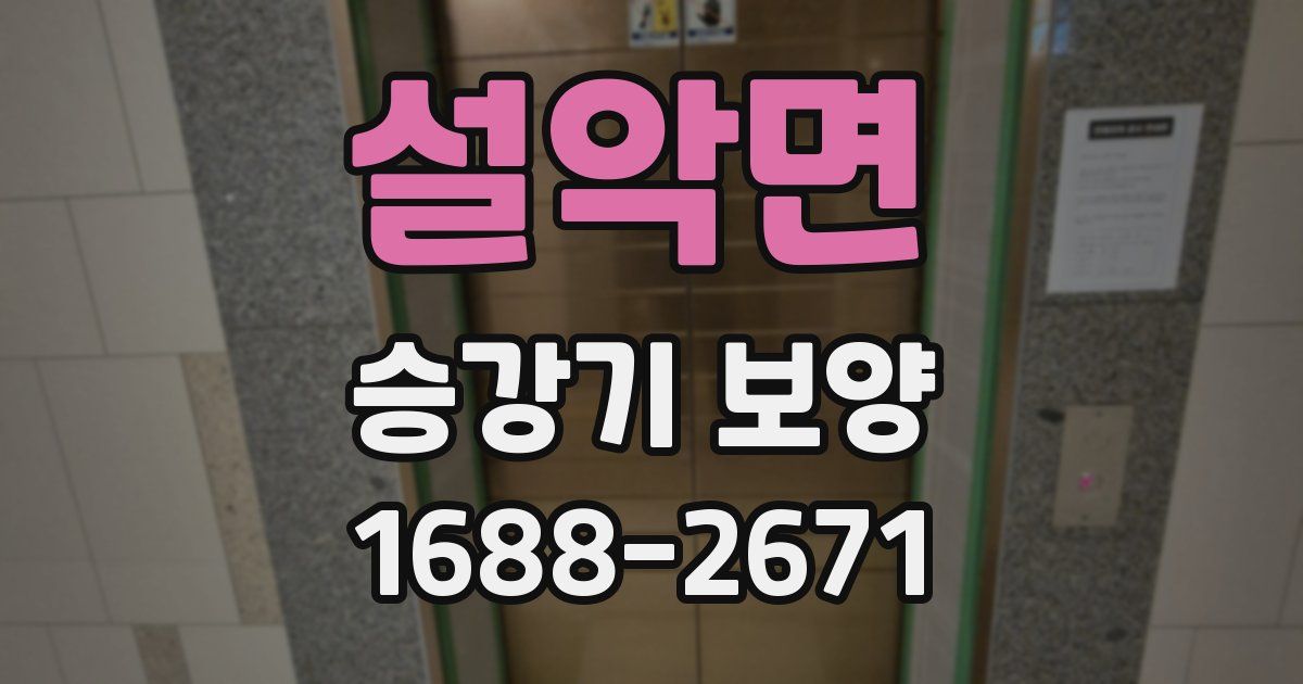 설악면 승강기 보양