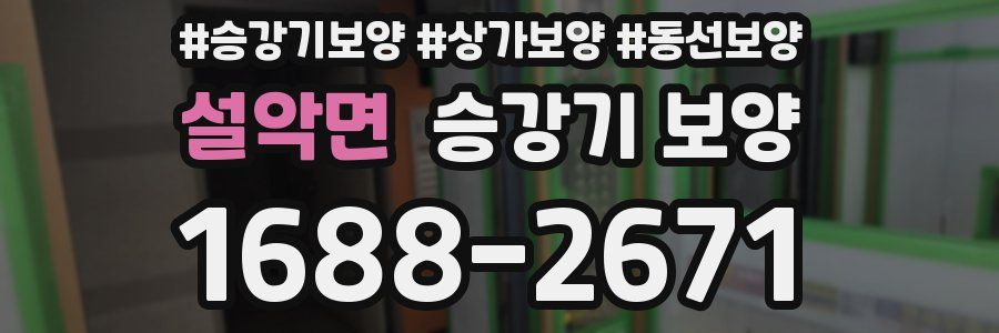 설악면 승강기 보양