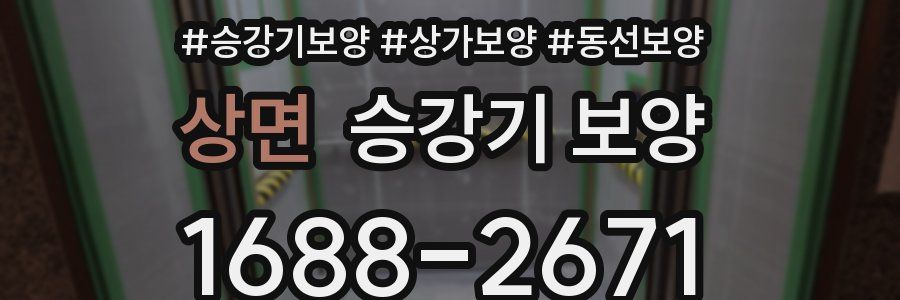 상면 승강기 보양