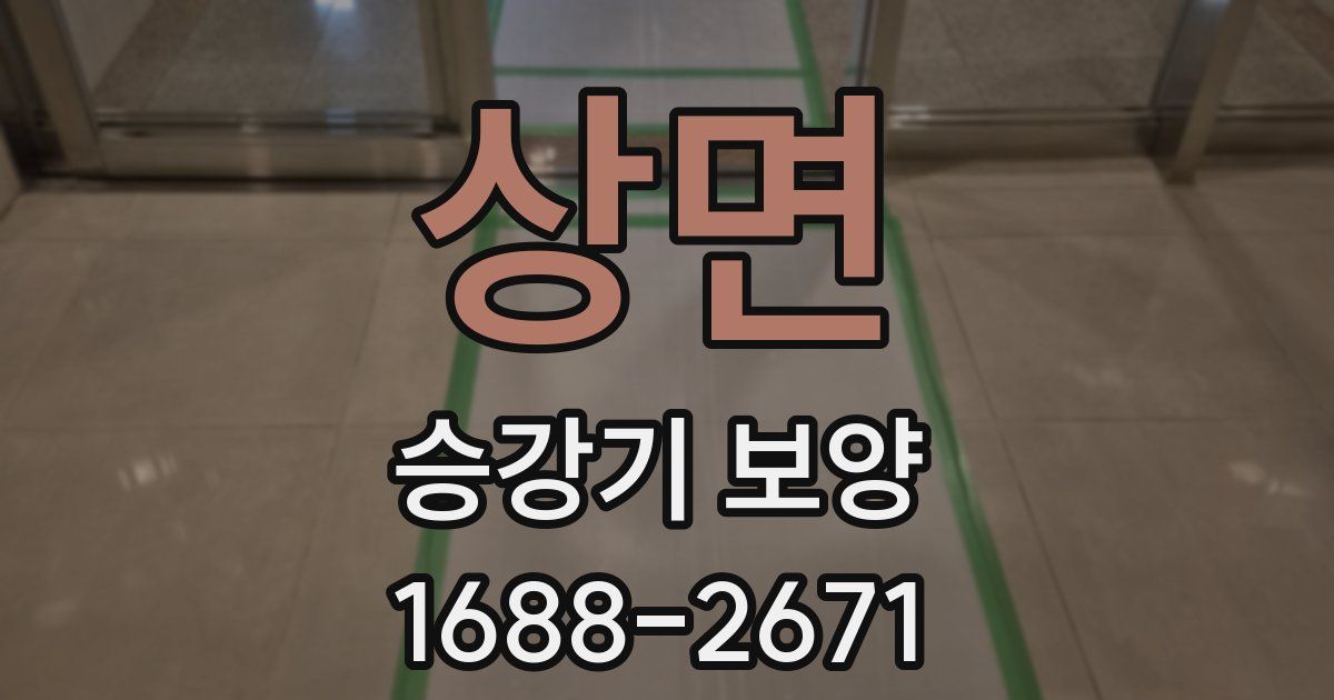 상면 승강기 보양