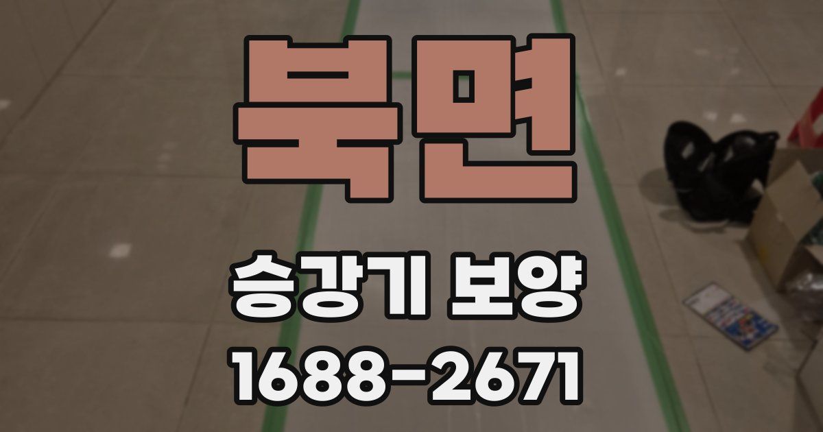 북면 승강기 보양