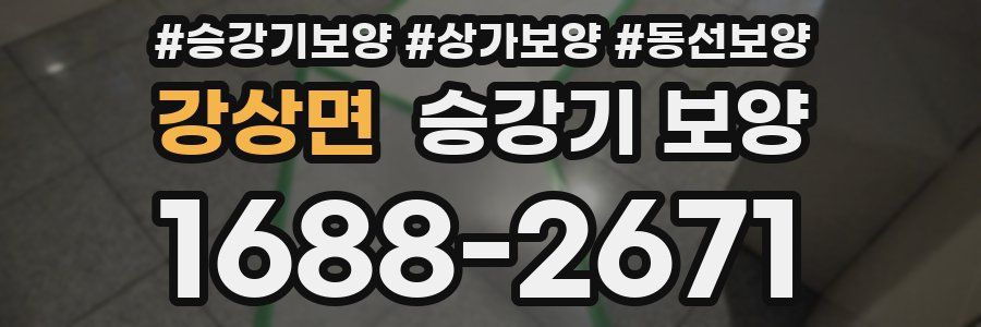 강상면 승강기 보양