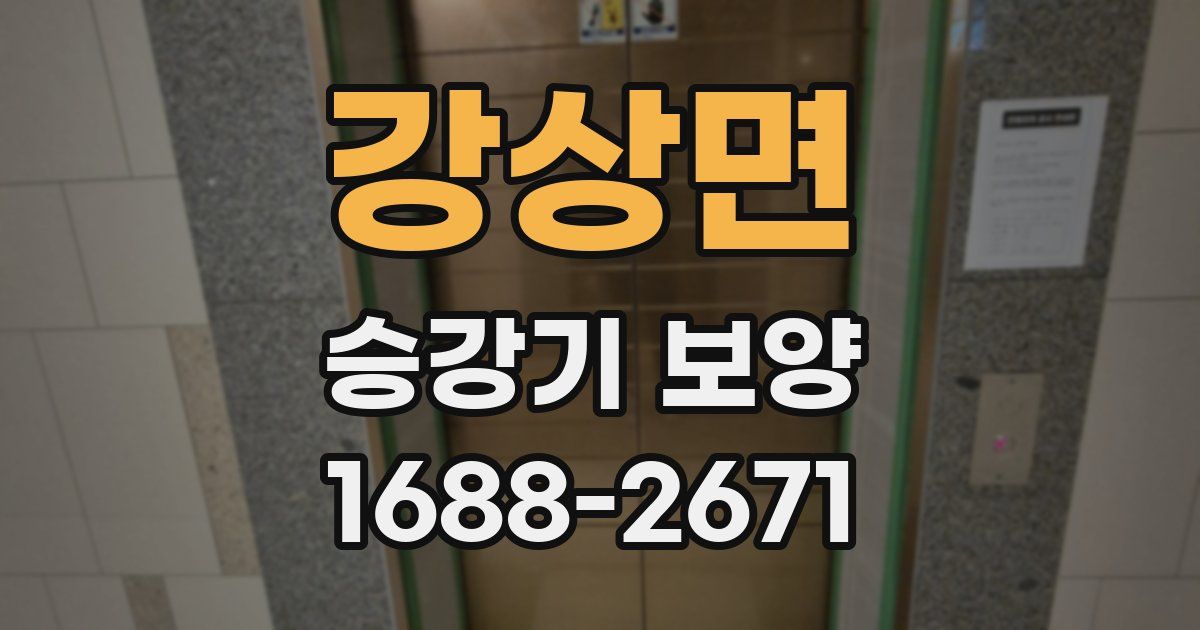 강상면 승강기 보양