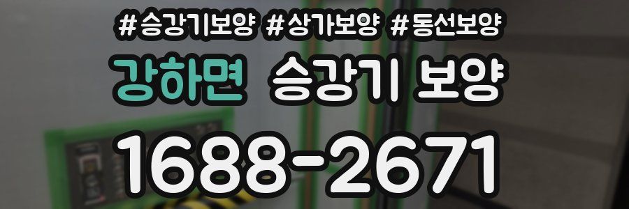 강하면 승강기 보양