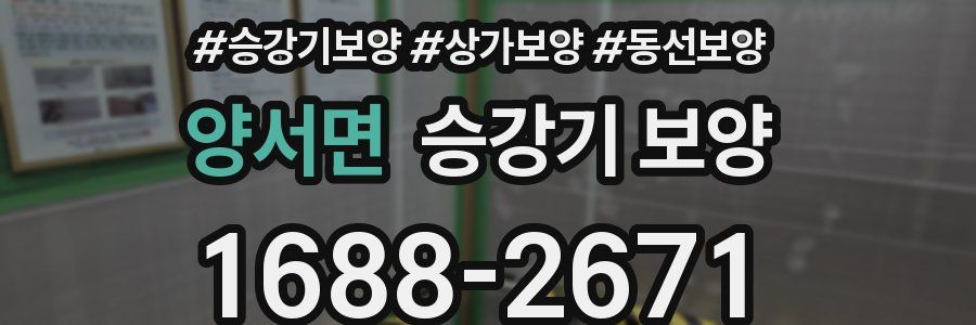 양서면 승강기 보양