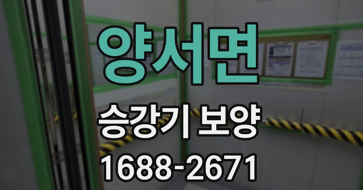 양서면 승강기 보양