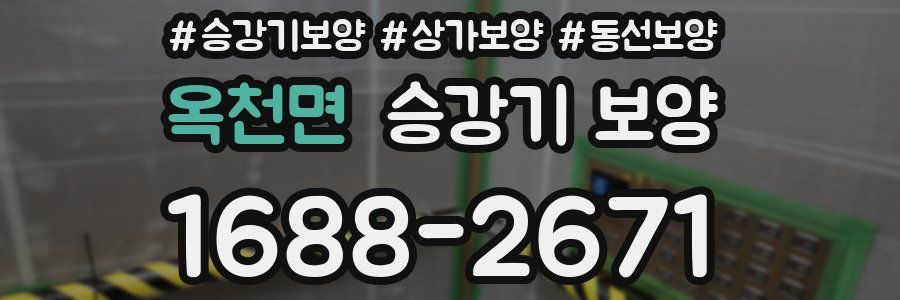 옥천면 승강기 보양