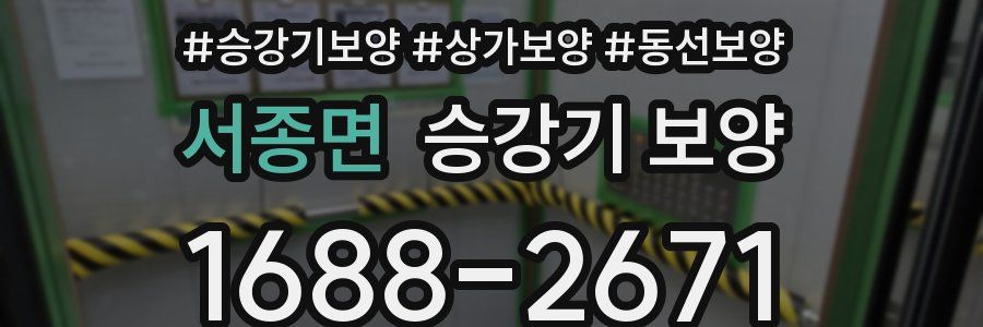 서종면 승강기 보양