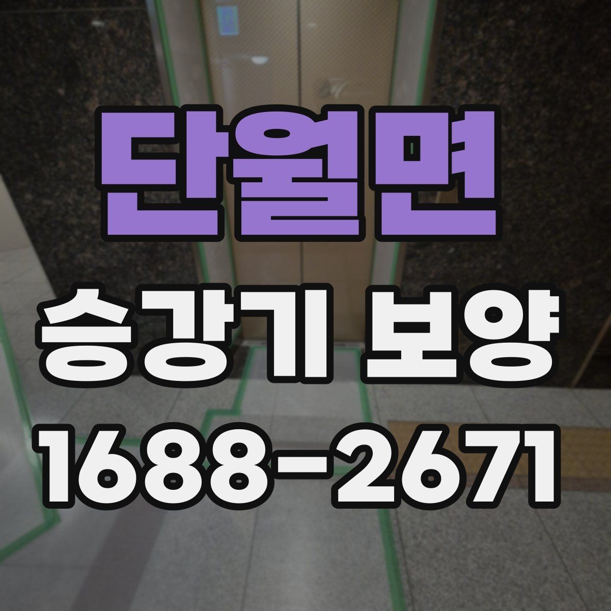 단월면 승강기 보양 일정이 늦어질 때 대응 방법