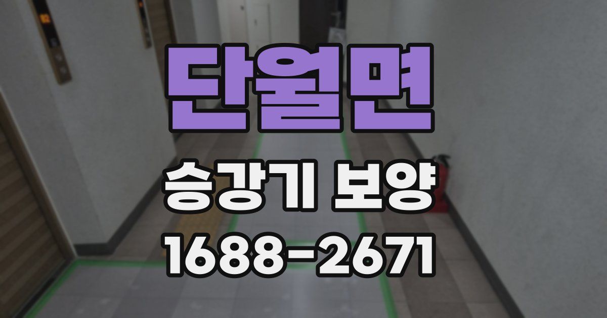 단월면 승강기 보양