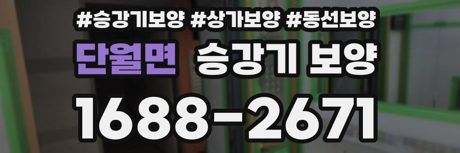 단월면 승강기 보양