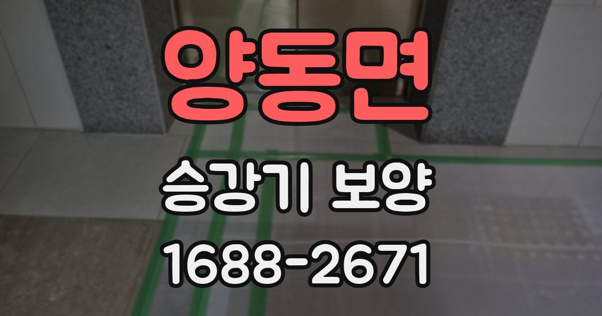 양동면 승강기 보양