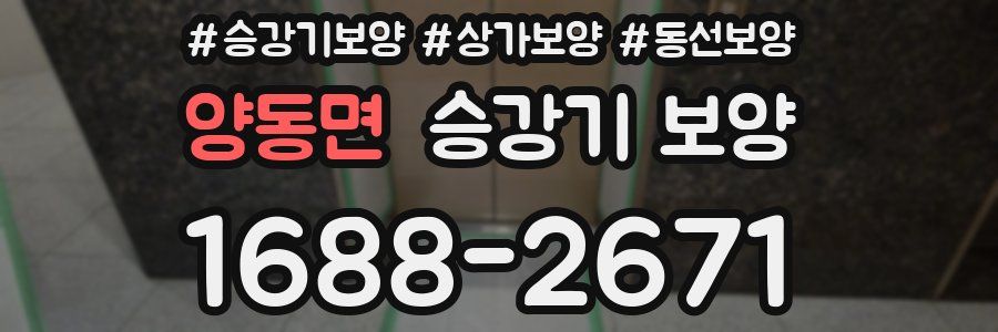 양동면 승강기 보양