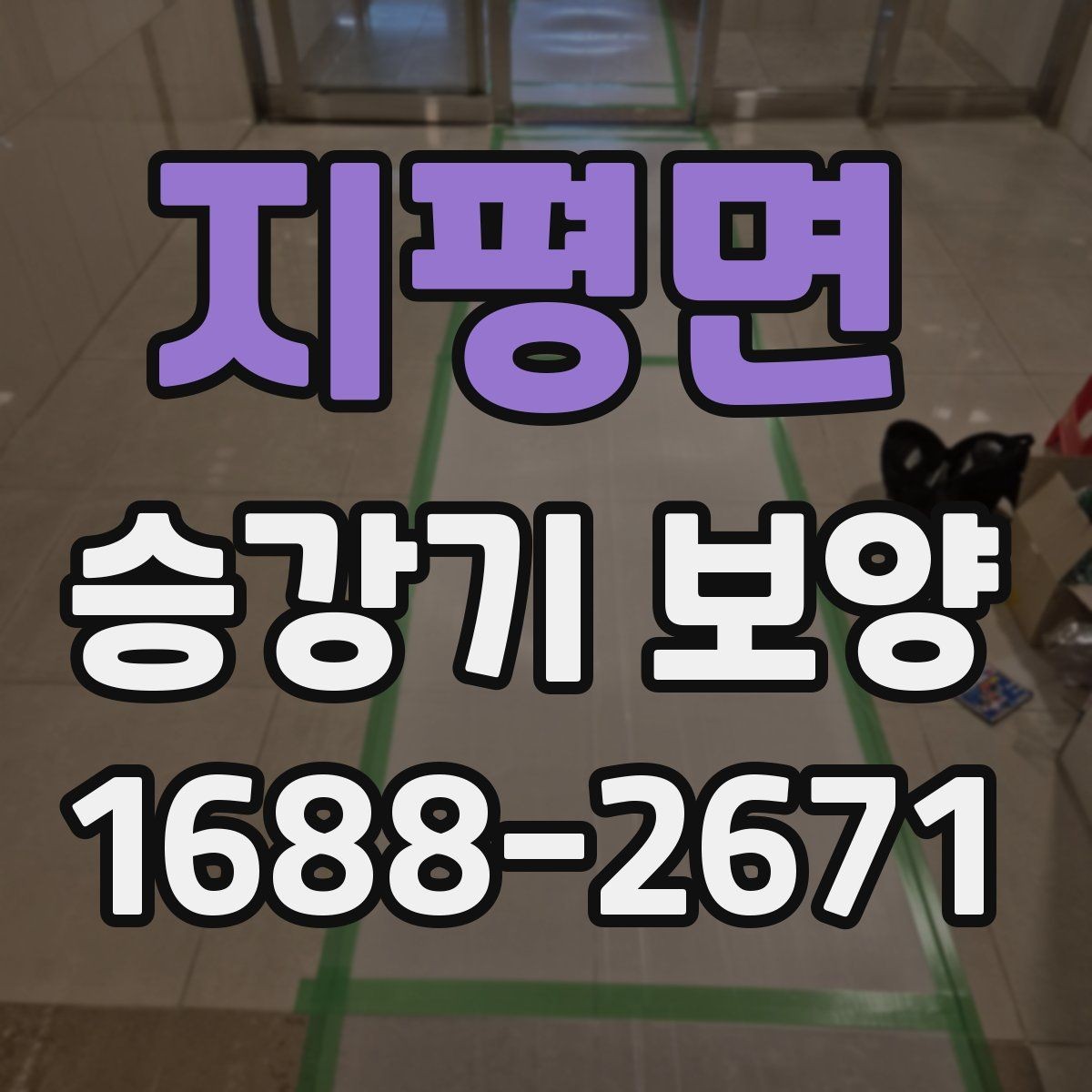 지평면 승강기 보양 검토 시 업체별 차이 비교