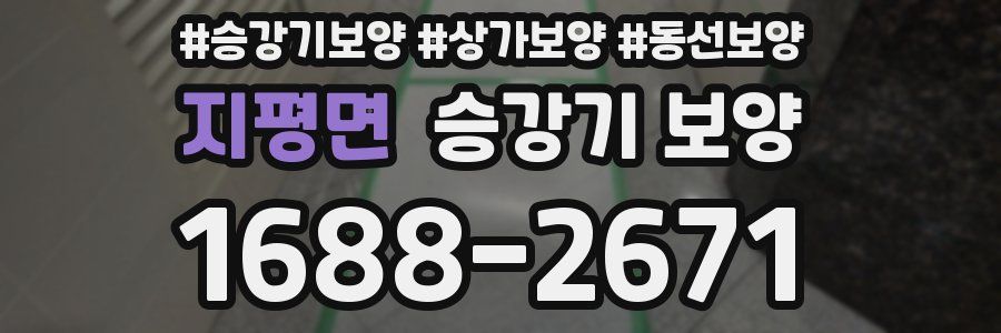 지평면 승강기 보양