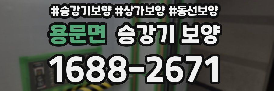 용문면 승강기 보양