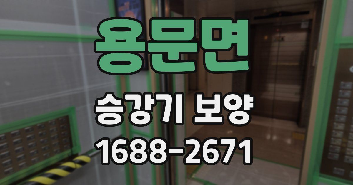 용문면 승강기 보양