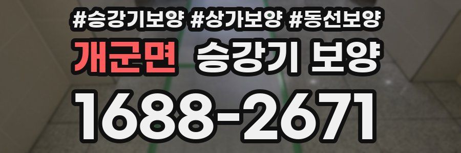 개군면 승강기 보양