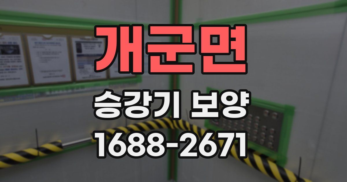 개군면 승강기 보양